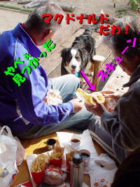 �n�C�W���}�N�h�i���h�H�ׂ�����`